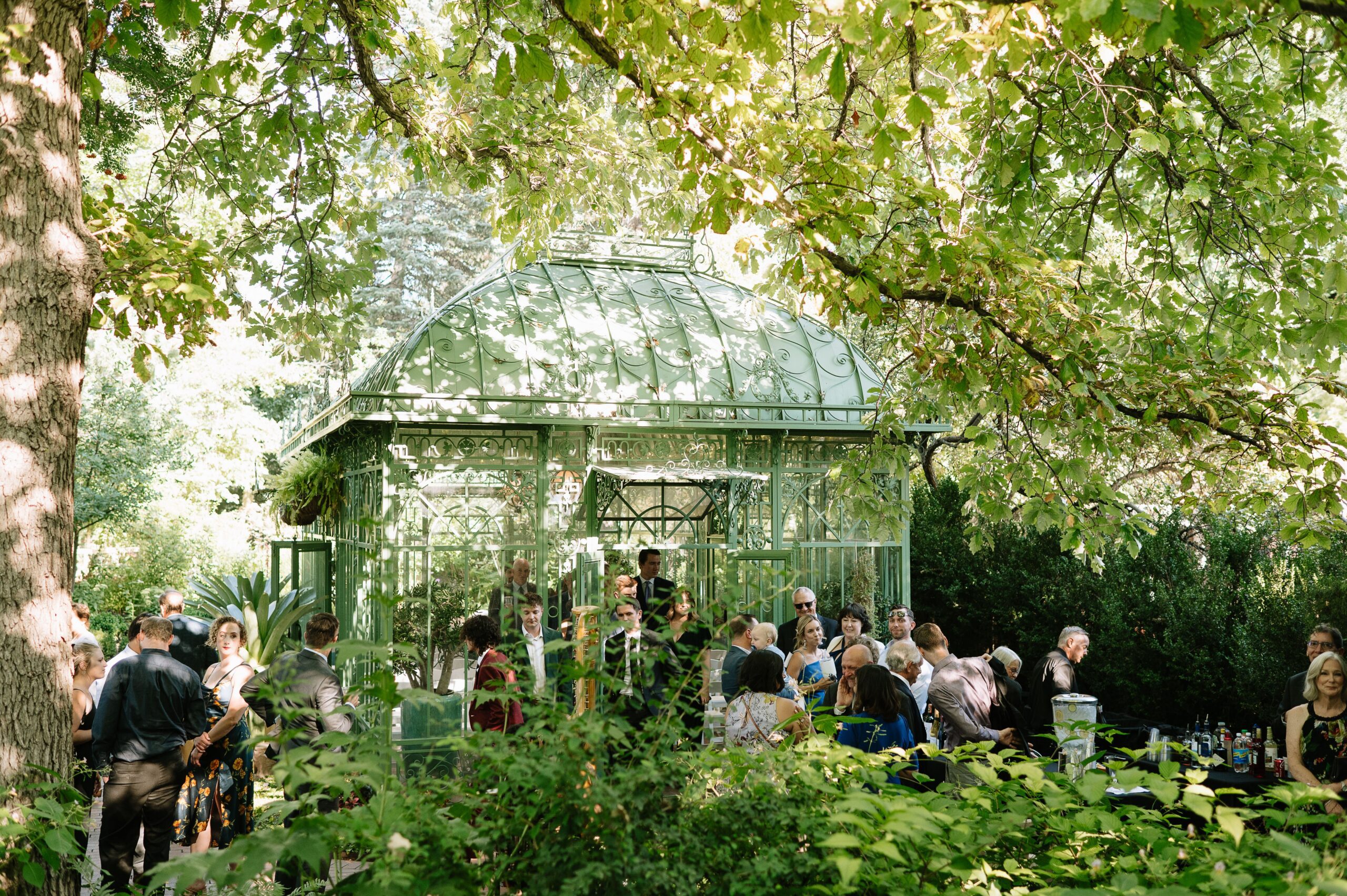 Guests mingling outdoors during a Denver Botanic Gardens wedding, gathered around a greenhouse surrounded by lush trees and garden landscapes.