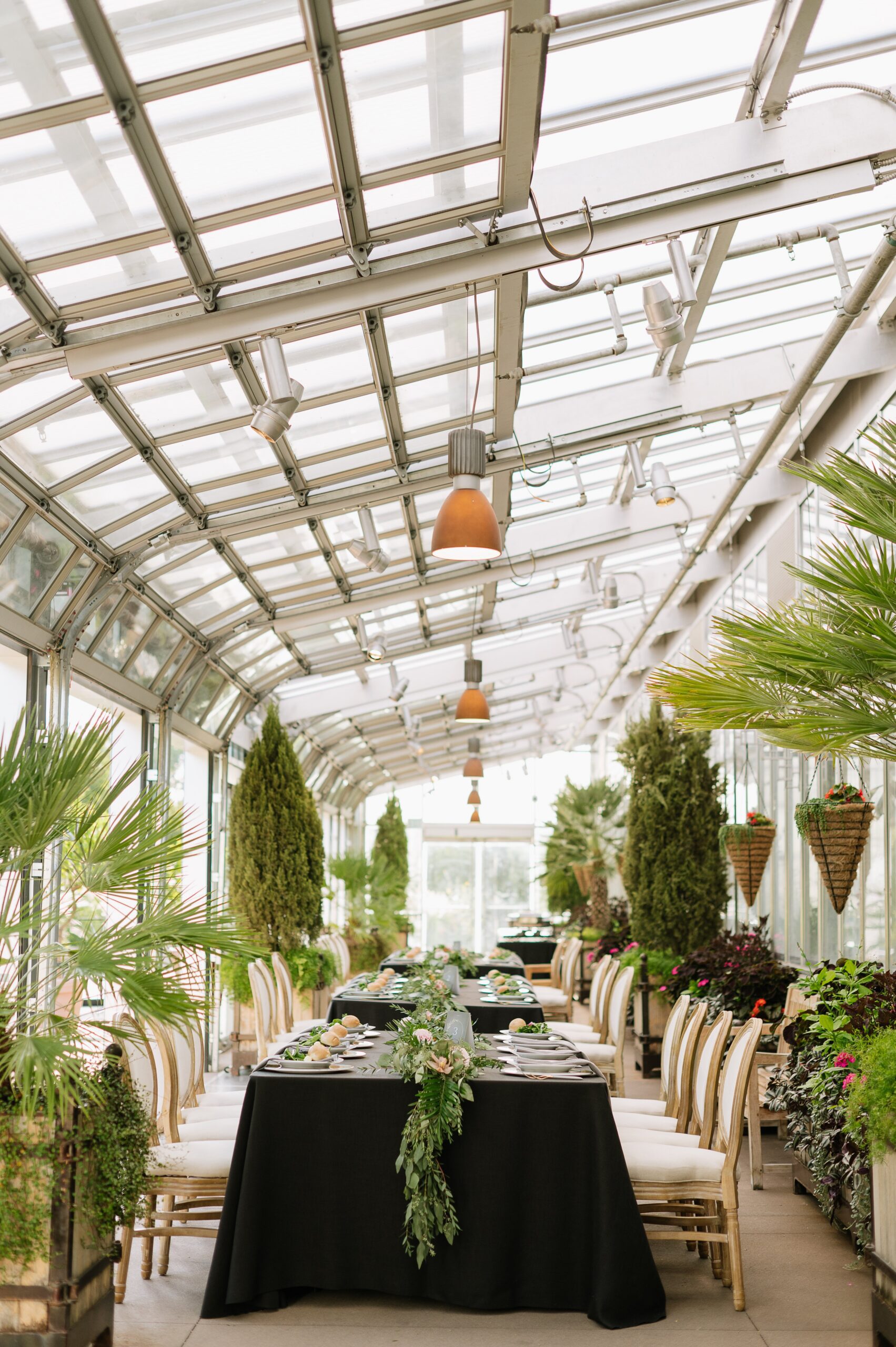 Bright greenhouse reception space styled for a Denver Botanic Gardens wedding, featuring long banquet tables, lush plants, and natural light streaming through glass ceilings.