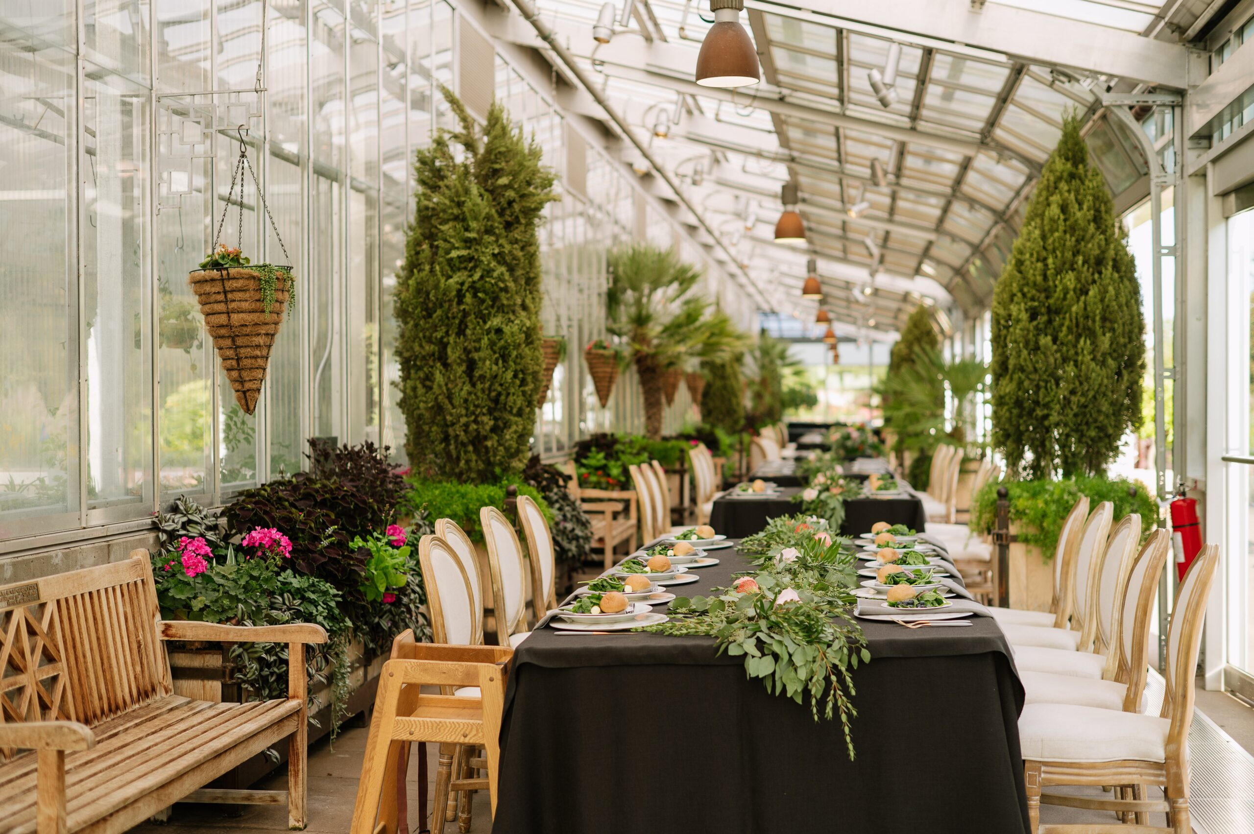 Lush greenhouse reception setup captured by a Denver Botanic Gardens wedding photographer, with long tables, greenery, and natural light filling the space.