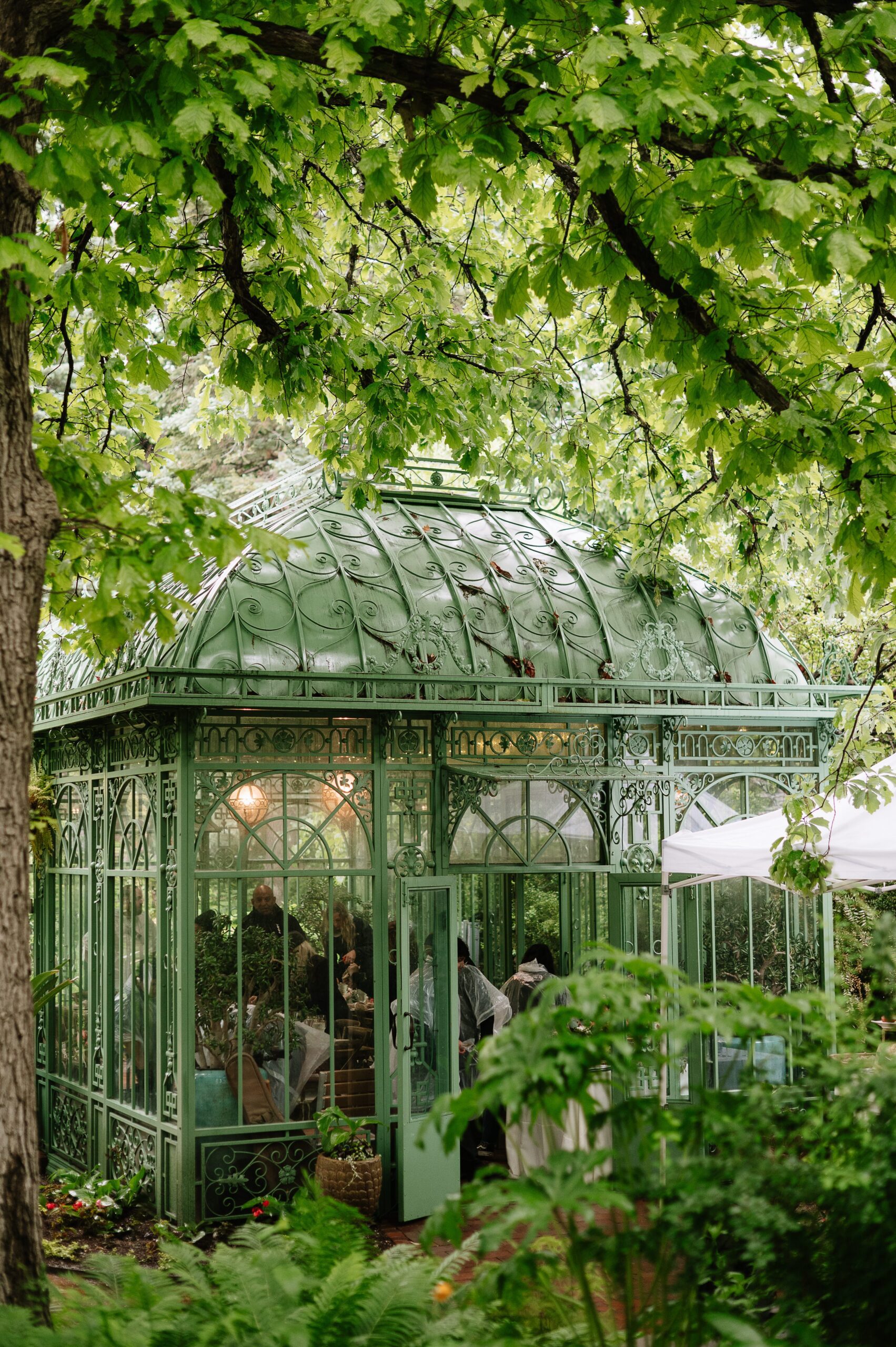 Charming greenhouse exterior during a Denver Botanic Gardens wedding, nestled among trees and foliage with guests gathered inside.